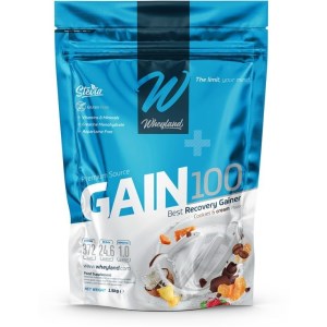 پودر گین ۱۰۰ وی‌لند نوتریشن 3 کیلویی طعم کوکی و خامه