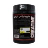 مایوجنیکس کراتین میکرونایز 400 گرم